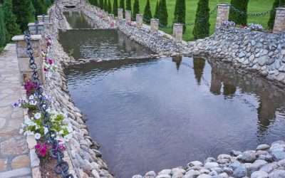 Pond Maintenance 101: How to Keep Pond Water Clean